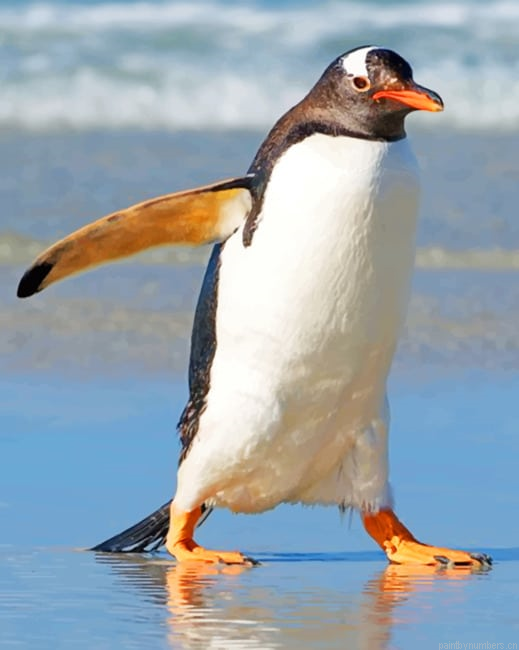 Penguin Bird On Sea Shore Painting By Numberss.png