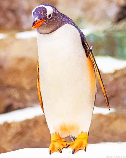 Penguin Bird On Stone Painting By Numberss.png
