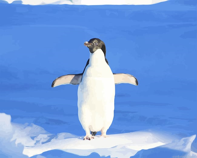 Penguin Bird Painting By Numbers.png