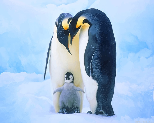 Penguin Family Birds Painting By Numberss.png