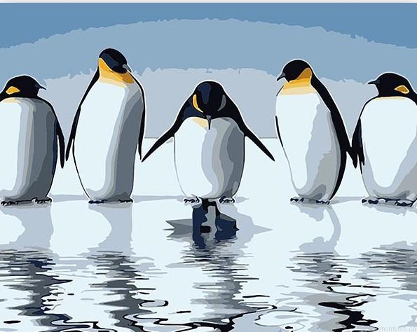 Penguins Birds Painting By Numbers.png