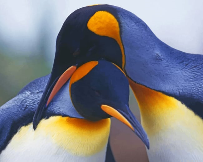 Penguins Couple Birds Painting By Numberss.png