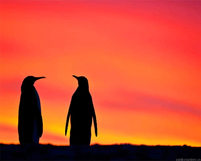 Penguins Silhouette Birds Painting By Numberss.png