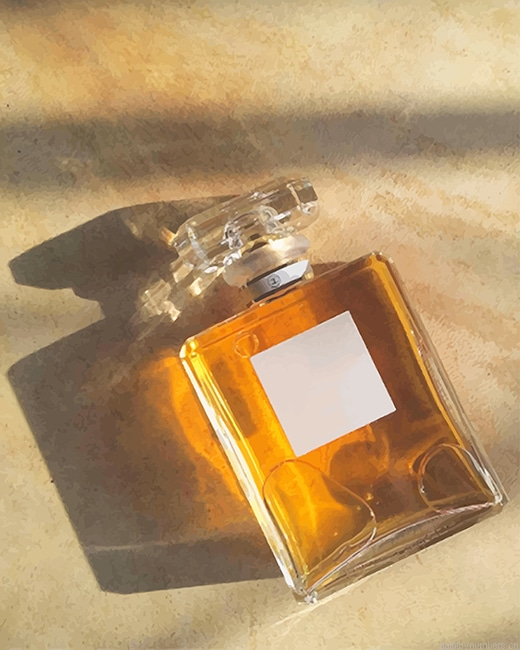 Perfume Glass Bottle Painting By Numbers.png