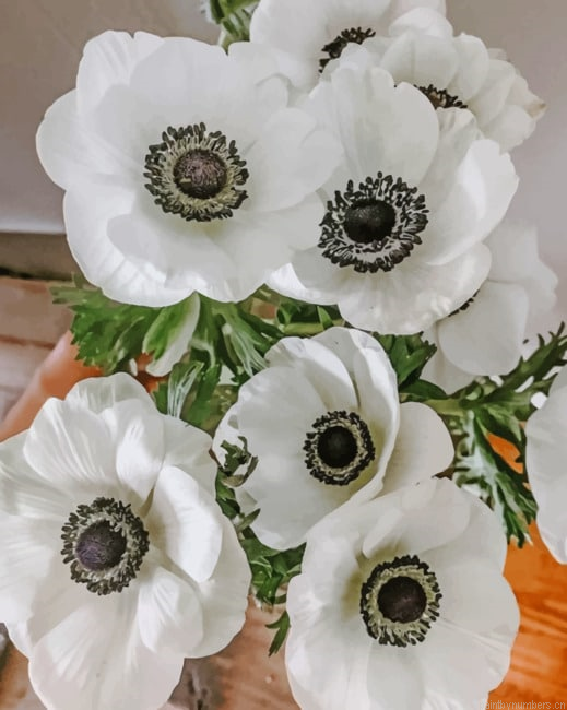Persian Buttercup Plants Painting By Numberss.png