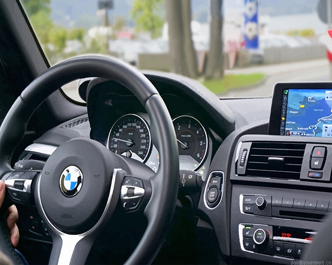 Person Driving Bmw Car Painting By Numbers.png