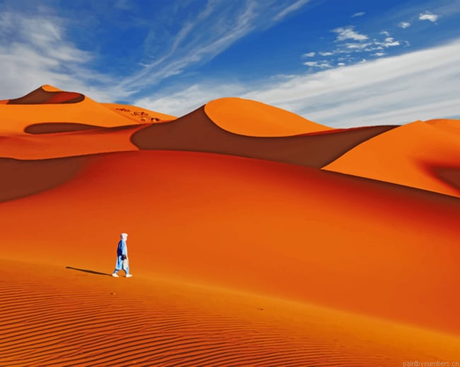Person Walking The Sahara Deserts Painting By Numberss.png