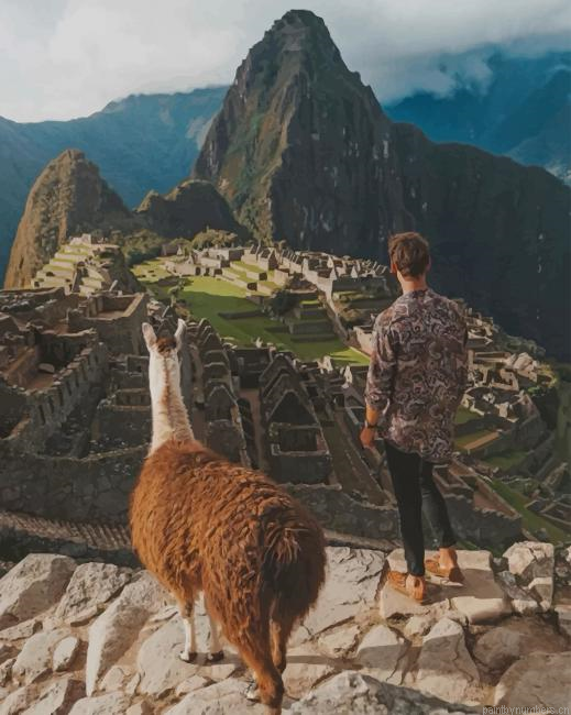 Peru Llama Animals Painting By Numberss.png