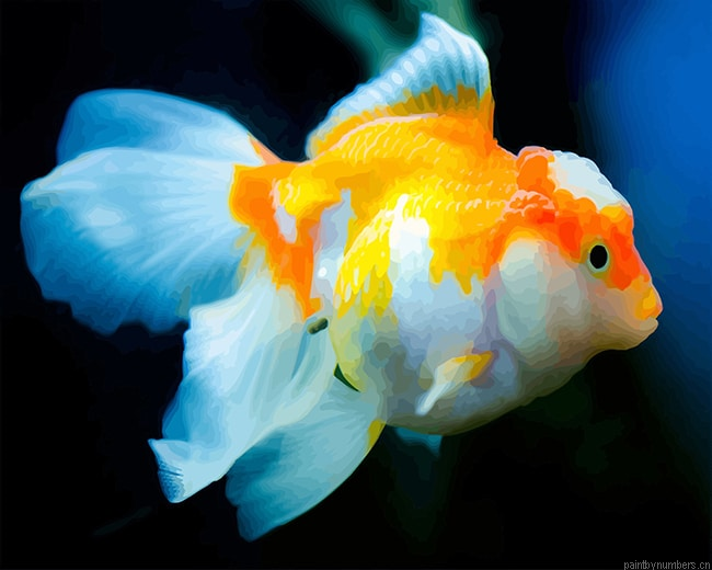 Pet Goldfish Painting By Numberss.png