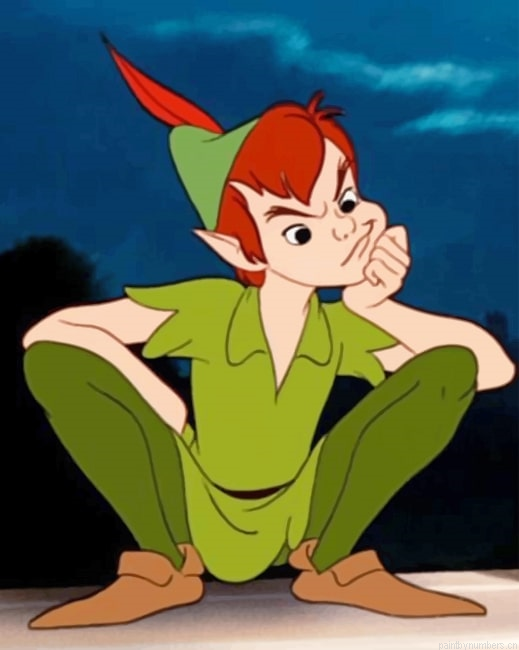 Peter Pan Cartoons Painting By Numberss.png