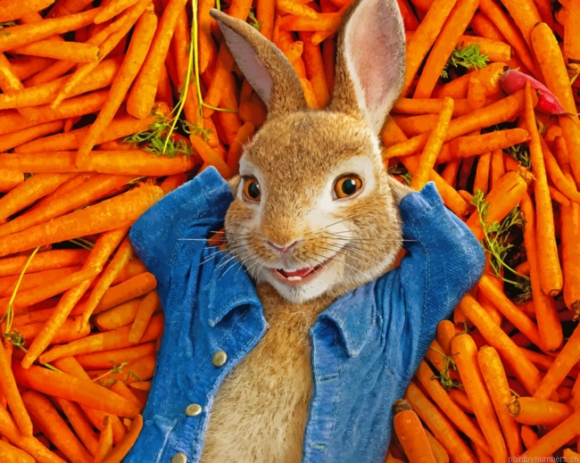 Peter Rabbit Movies Painting By Numbers.png