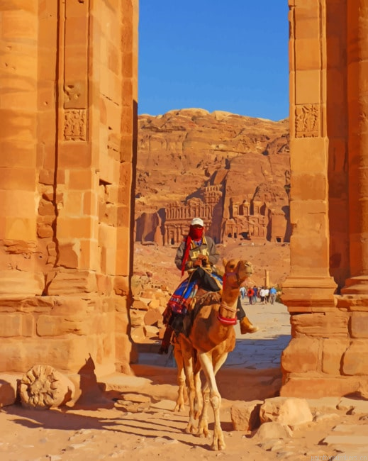 Petra Camel Painting By Numberss.png