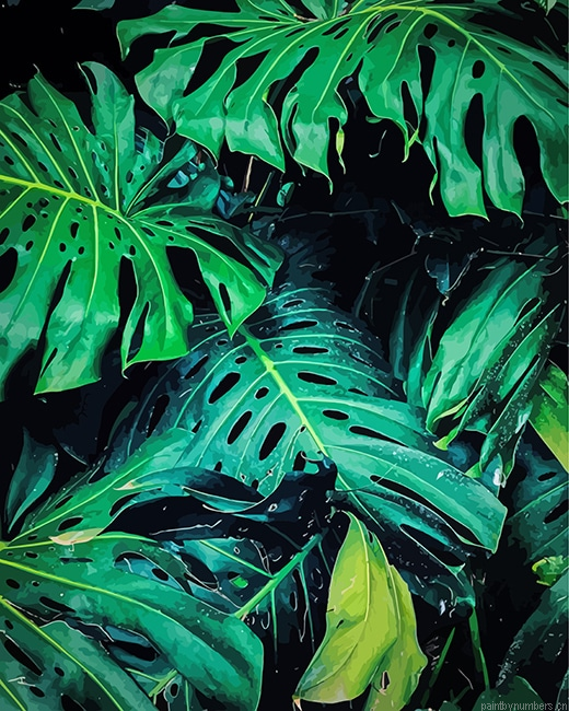 Philodendron Plants Painting By Numberss.png