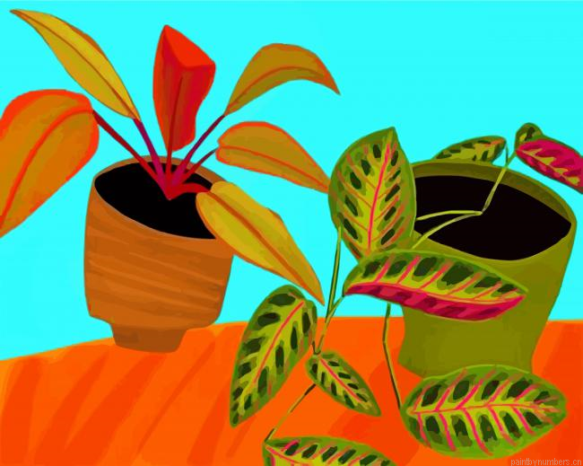 Philodendron Pots Painting By Numbers.png