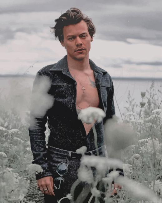 Photoshoot Harry Styles Singers Painting By Numberss.png