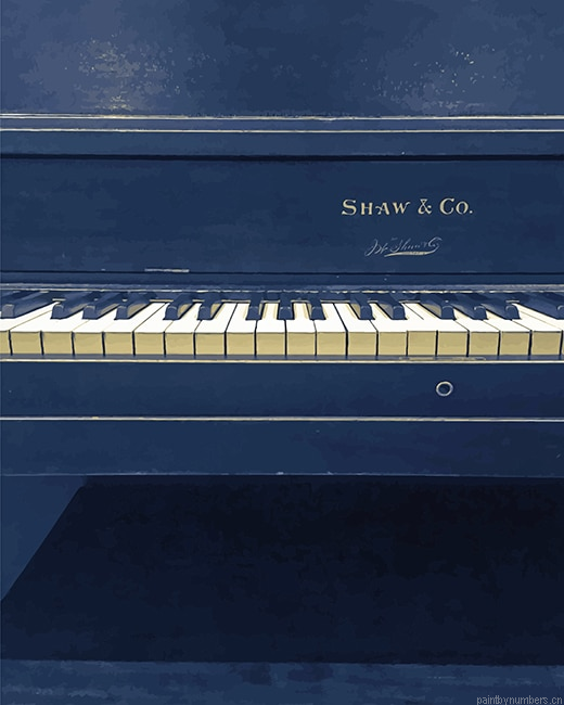 Piano Shaw And Co Painting By Numbers.png