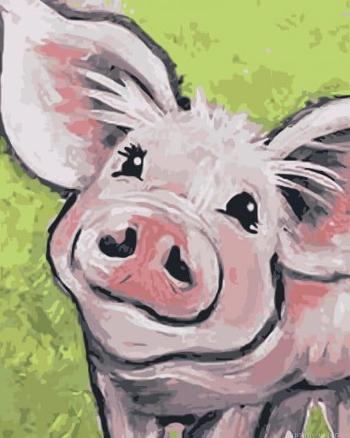 Pig Smiling Painting By Numbers.png