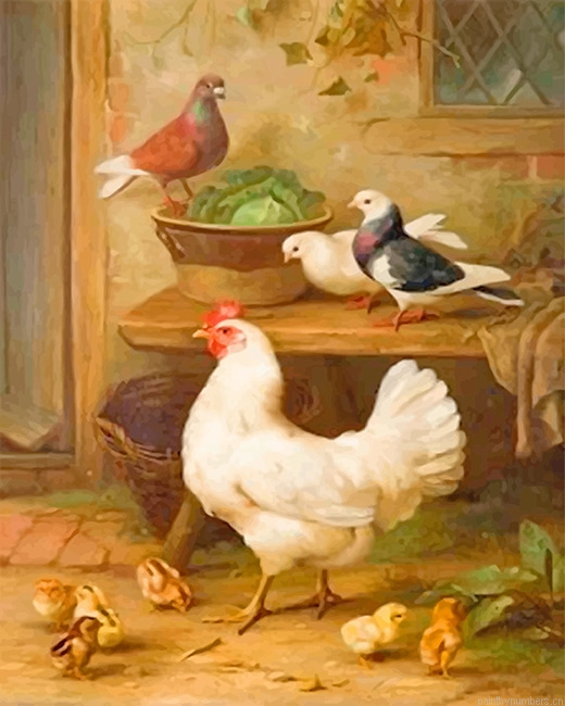 Pigeons And Chicken Birds Painting By Numbers.png