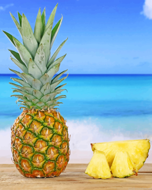 Pineapple Painting By Numbers.png