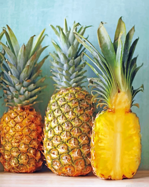 Pineapples Painting By Numbers.png