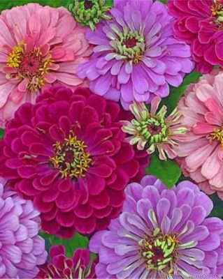 Pink And Purple Zinnias Painting By Numbers.png