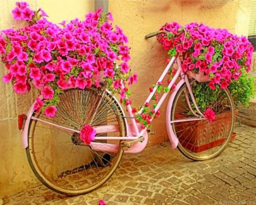 Pink Bicycle With Flowers Painting By Numbers.png