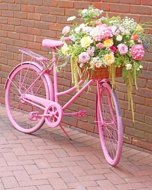 Pink Bike Painting By Numberss.png