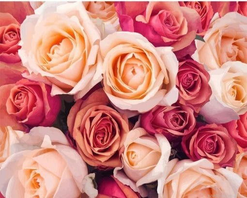 Pink Blooming Roses Flowers Painting By Numbers.png