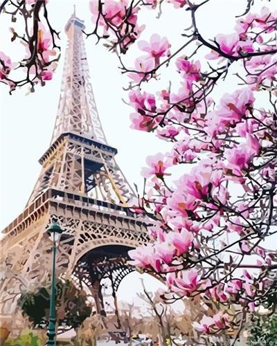 Pink Blossom In Paris Painting By Numberss.png