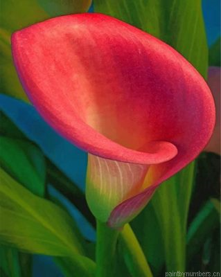 Pink Calla Lily Painting By Numbers.png