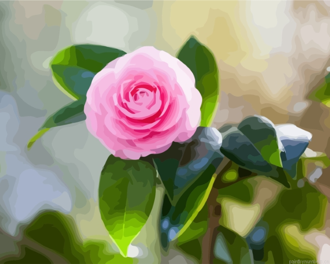 Pink Camellia Painting By Numberss.png