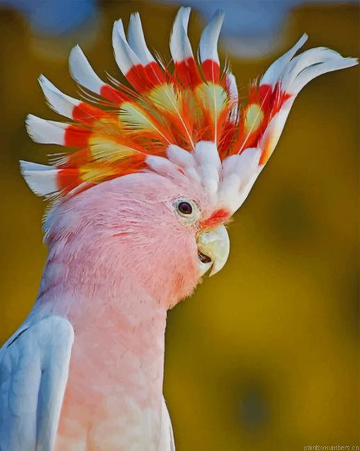 Pink Cockatoo Bird Painting By Numberss.png