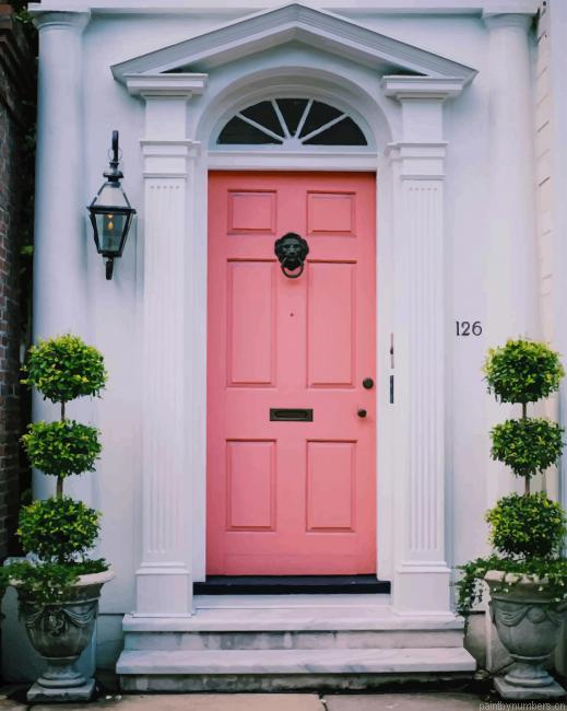 Pink Door Painting By Numberss.png