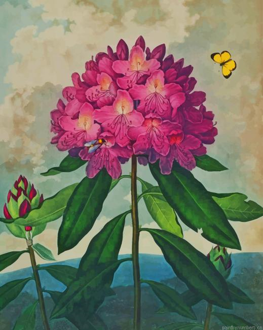 Pink Flower Artwork Painting By Numberss.png