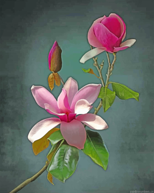 Pink Flower Painting By Numberss.png