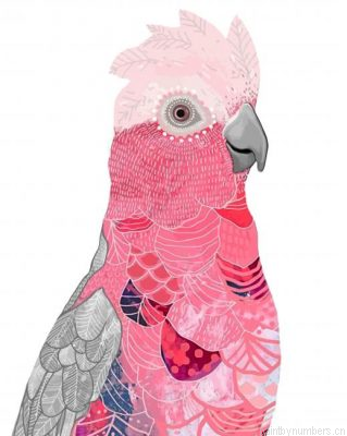 Pink Galah Bird Painting By Numbers.png
