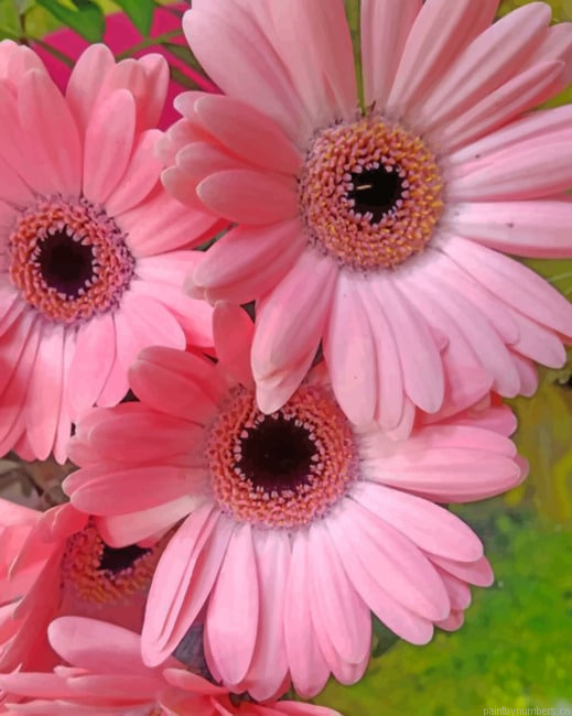 Pink Gerbera Daisy Painting By Numberss.png