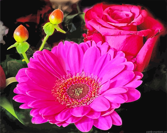 Pink Gerbera Flowers Painting By Numberss.png