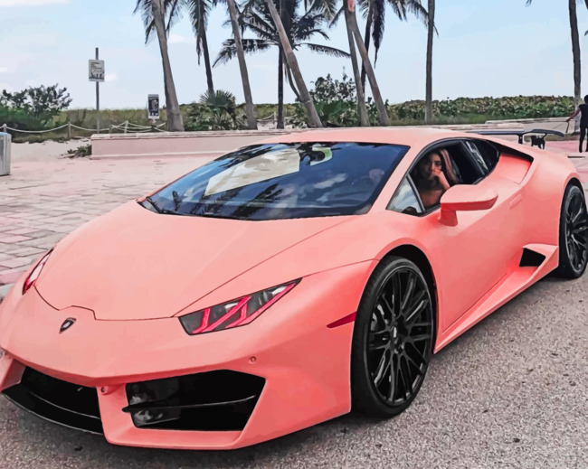 Pink Lamborghini Cars Painting By Numberss.png