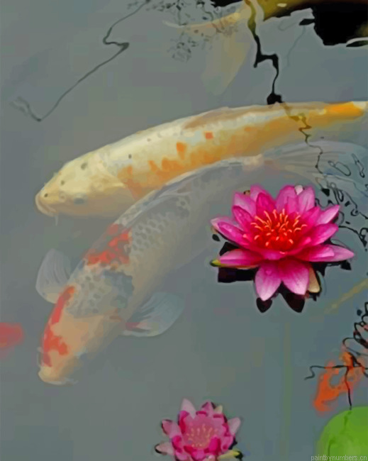 Pink Lotus And Koi Fishes Painting By Numbers.png