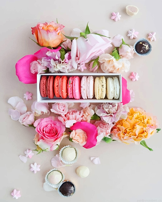 Pink Macarons With Flowers Food Painting By Numbers.png