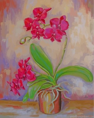Pink Orchid Flower Painting By Numbers.png