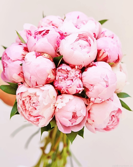 Pink Peony Bouquet Flowers Painting By Numbers.png