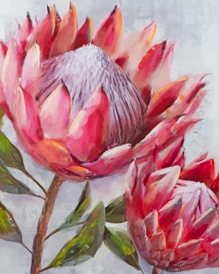 Pink Protea Painting By Numbers.png