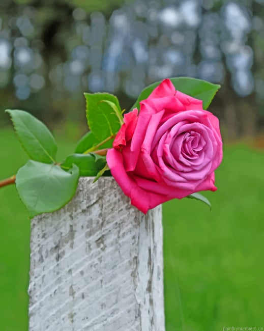 Pink Rose On Trunk Flowers Painting By Numberss.png