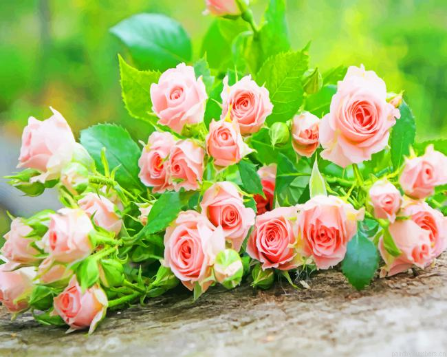 Pink Roses Flowers Painting By Numberss.png