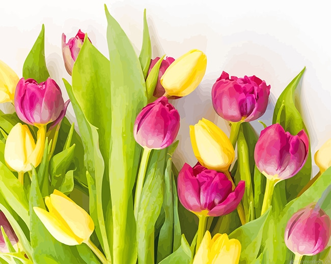 Pink Yellow Flowers Tulips Painting By Numberss.png