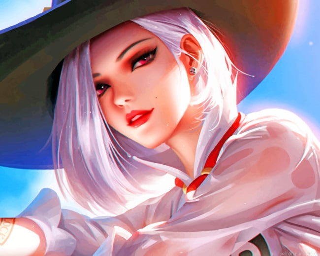 Pirate Girl Art Painting By Numbers.png
