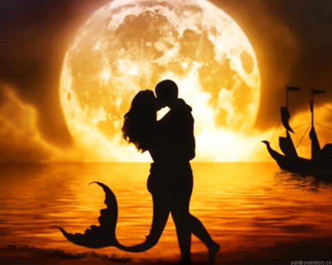 Pirate And Mermaid In Love Silhouette Painting By Numberss.png
