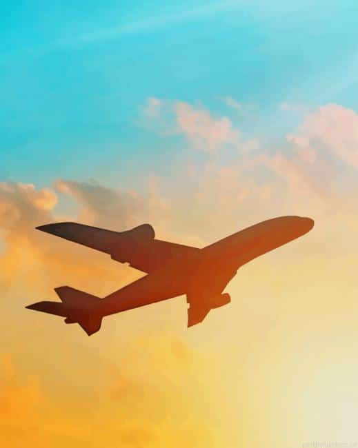 Plane Fly In The Sky Painting By Numberss.png